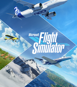 Microsoft Flight Simulator