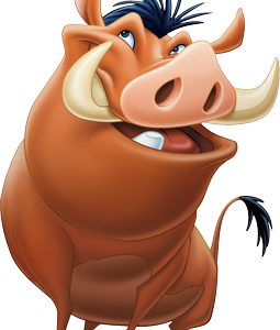 Timon&Pumbaa